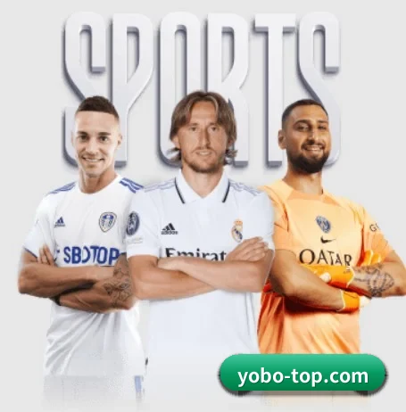 yobo体育官网 APP