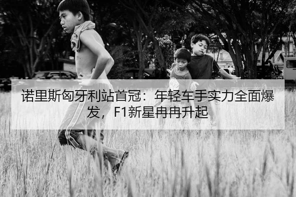 nuo-li-si-xiong-ya-li-zhan-shou-guan-nian-qing-che-shou-shi-li-quan-mian-bao-fa-xin-xing-ran-ran-sheng-qi-2-427.jpg